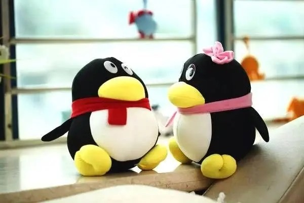 请问买QQ号可以买吗？